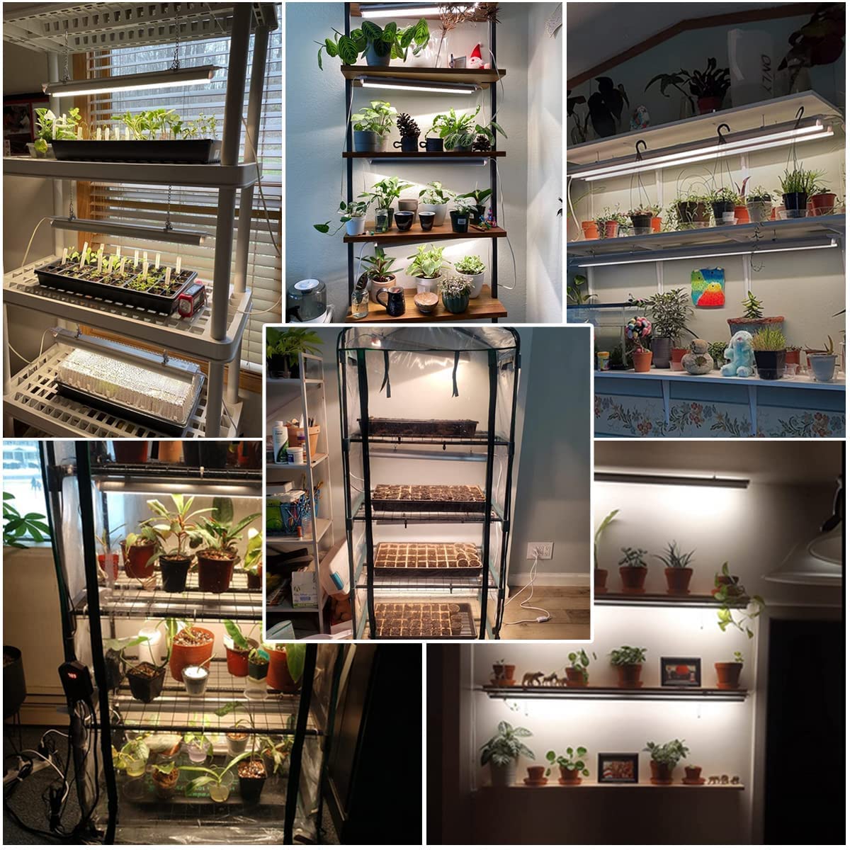 ドラム缶LEDライト内臓No.5 Amazon.com: GYTF T5 Grow Lights 1.4Ft, 5000K White Full Spectrum